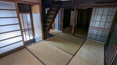 PXL_20250314_011112044.jpg