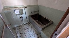 PXL_20250314_011338629.jpg