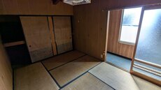 PXL_20250314_011438504.jpg