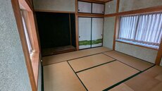 PXL_20250314_011452845.jpg