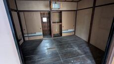 PXL_20250627_012038360.jpg